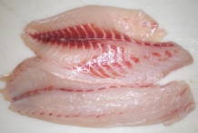 Fillets-of-Sheepshead-fish