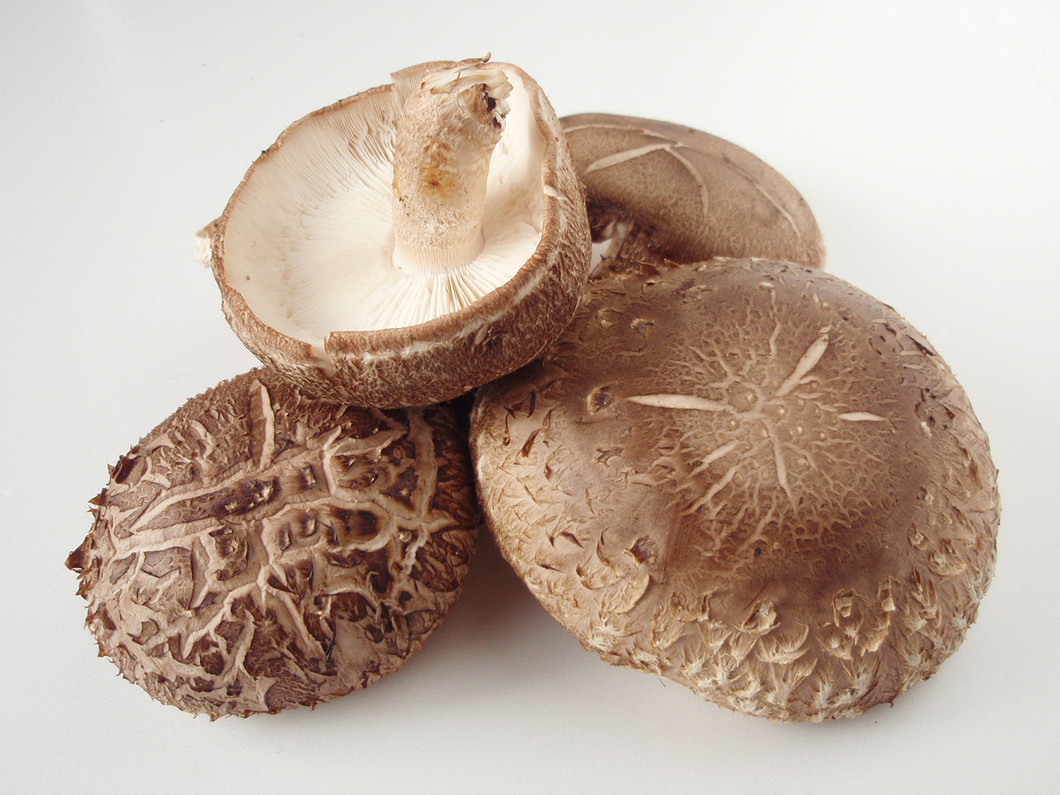 Shiitake Mushroom Nutrition At Rose Holeman Blog