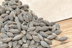 Seeds-of-Silverberry