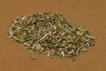 Dried-Skullcap-plant