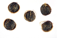 Seeds