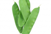 Snow-Pea