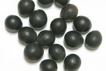 Seeds-of-Soap-Nut-plant