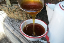 Sorghum-syrup-1