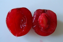 Half-cut-Sour-cherry