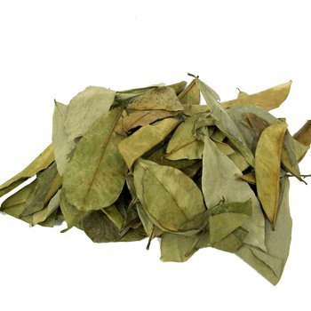 Soursop-leaves-dried
