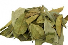 Soursop-leaves-dried