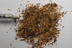 Seeds-of-Sourwood