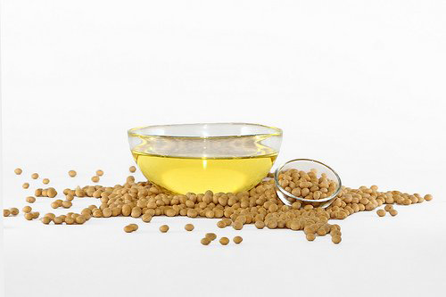 Soybean-oil-Soja hispida