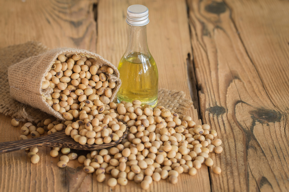 Soybean-oil-Glycine hispida