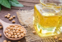 Soybean-oil-Phaseolus max