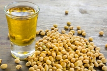 Soybean-oil-Intralipid
