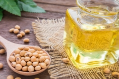 Soybean-oil-Phaseolus max