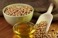 Soybean-oil-Glycine gracilis
