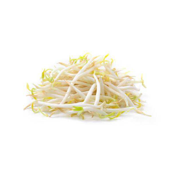 Soybean-sprouts-1