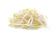 Soybean-sprouts-1