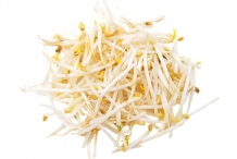 Soybean-sprouts-3
