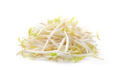 Soybean-sprouts-1