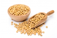 Soybean-seeds