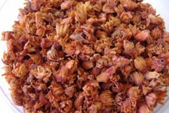 Dried-flowers-of-Spanish-Cherry