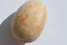 Spanish-Lime-seed