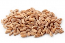 Spelt-grains