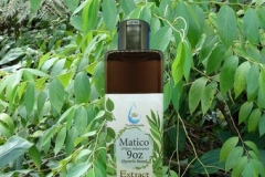 Spiked-pepper-extract