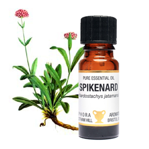 Spikenard-essential-oil