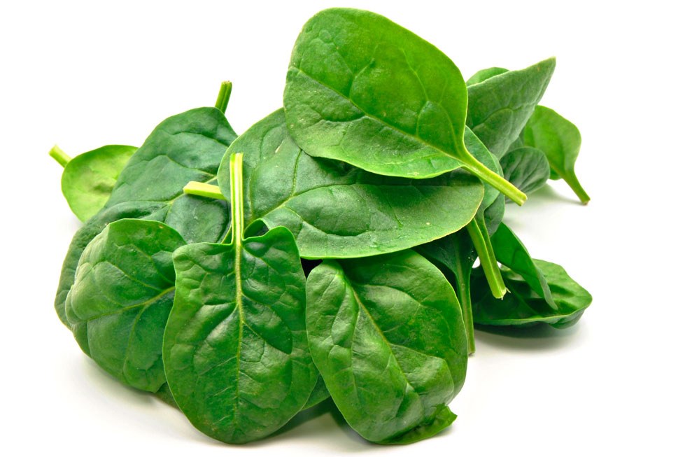 Leaves-of-Spinach