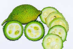 Slice-of-Spiny-Gourd