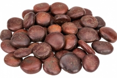 Seeds-of-St.-Thomas-bean