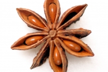 Star-Anise---Badian-anise