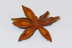 Star-Anise--Anís-estrellat