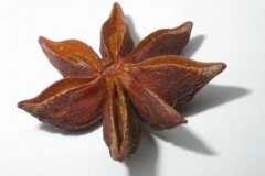 Star-Anise--Anason-zvezdoviden