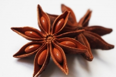 Star-Anise--Anis-Estrelado