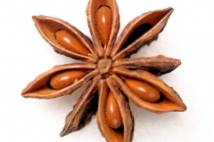 Star-Anise---Badian-anise