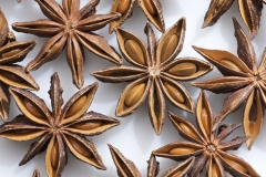 Star-Anise--Badyán