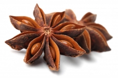 Star-Anise--Harilik-tähtaniisipuu