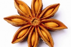 Star-Anise--Rusotähtianis
