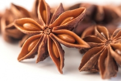 Star-Anise--Stelanizo