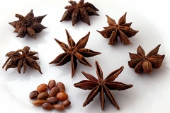 Star-Anise--Steranijs