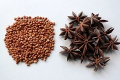 Star-Anise--Stjerne-Anis