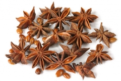 Star-Anise--Zvjezdasti-anis