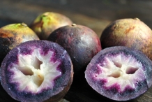 Star-apple-purple-aguay