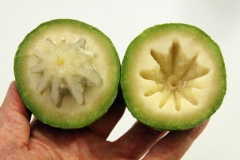 Star-apple-green-Abiaba