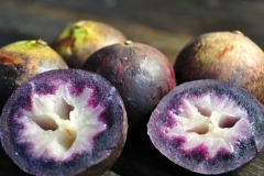 Star-apple-purple-aguay