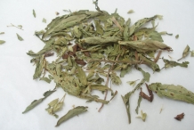 Dried-leaves-of-Stevia