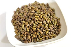 Seeds-of-Stinking-Cassia