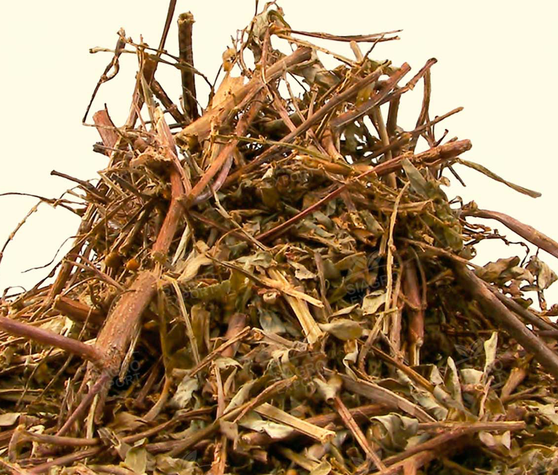 Dried-stone-breaker-herb