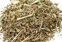 Dried-roots-of-Stone-breaker